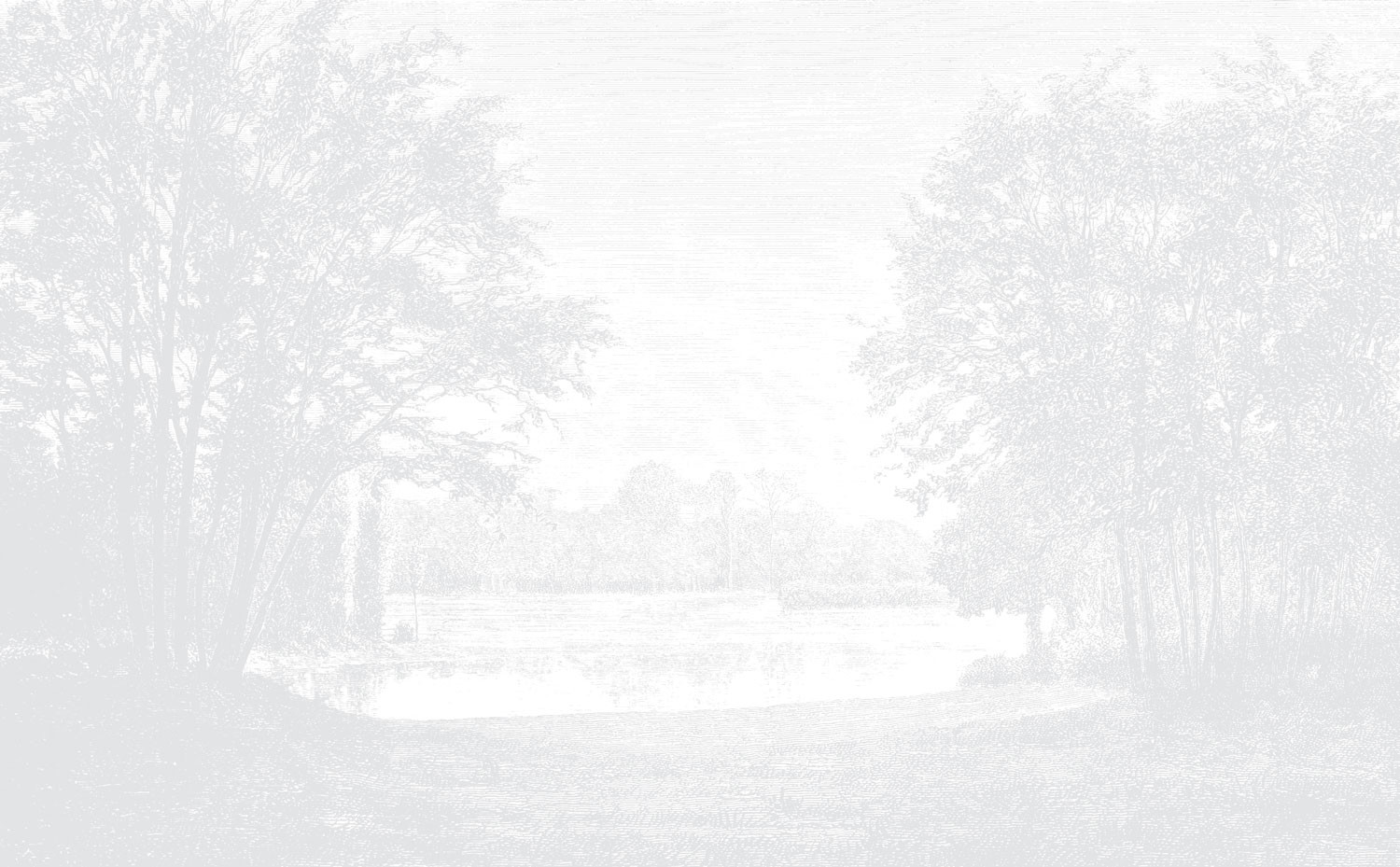 SereneShore-LightGrey