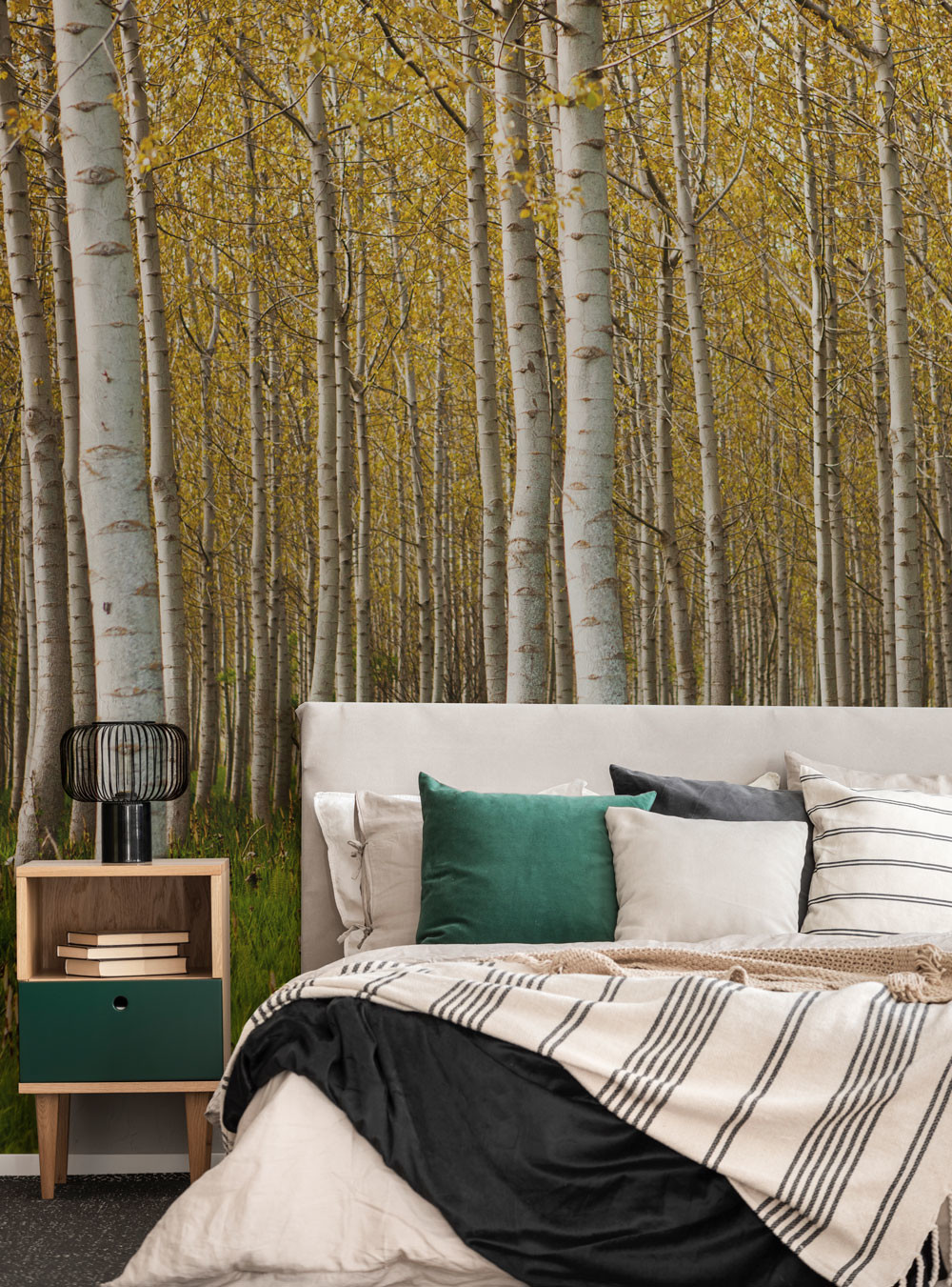 Silver Birch Forest | WALLPAPER