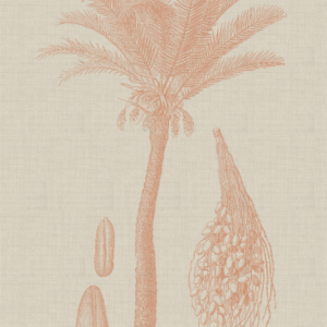 Coastal Palm Linen - Type 2 | Strethed Canvas | Printed Panel | Grafico Melbourne