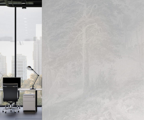 Soaring Pine - Light Grey Wallpaper | Grafico Melbourne