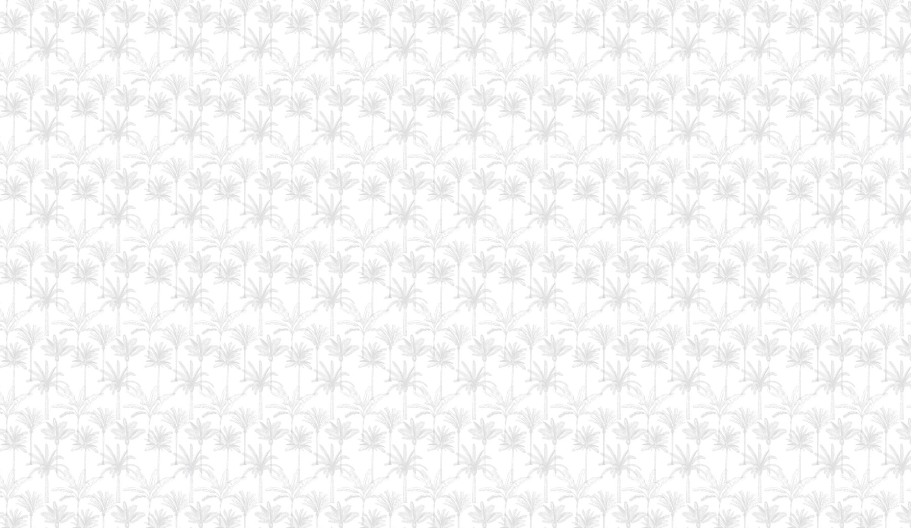 The Palms - Grey Wallpaper | Grafico Melbourne