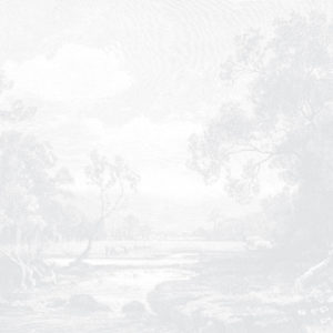 Tranquil Valley - Light Grey Wallpaper | Grafico Melbourne