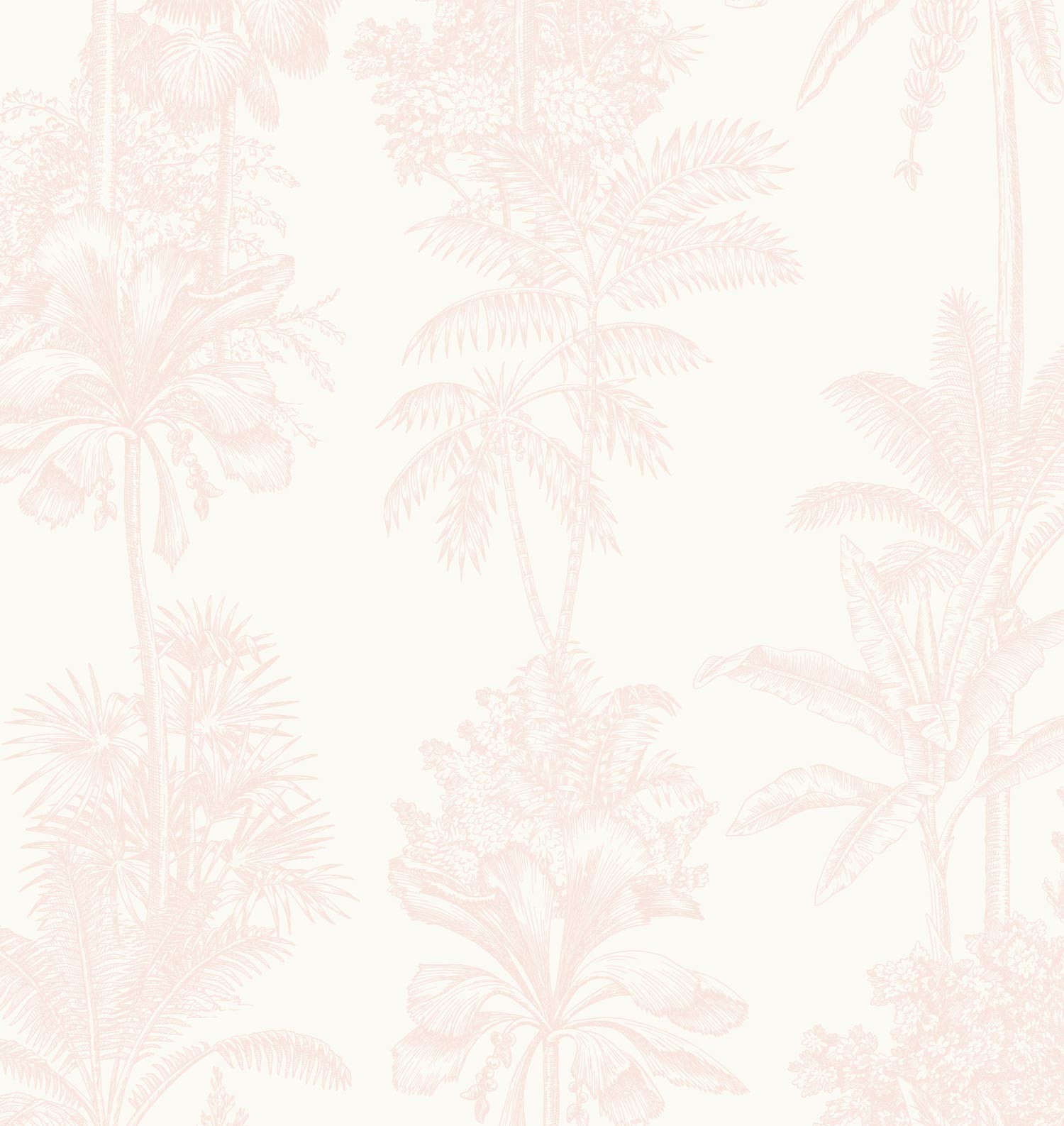 Tropical Hamptons - Blush Wallpaper | Grafico Melbourne