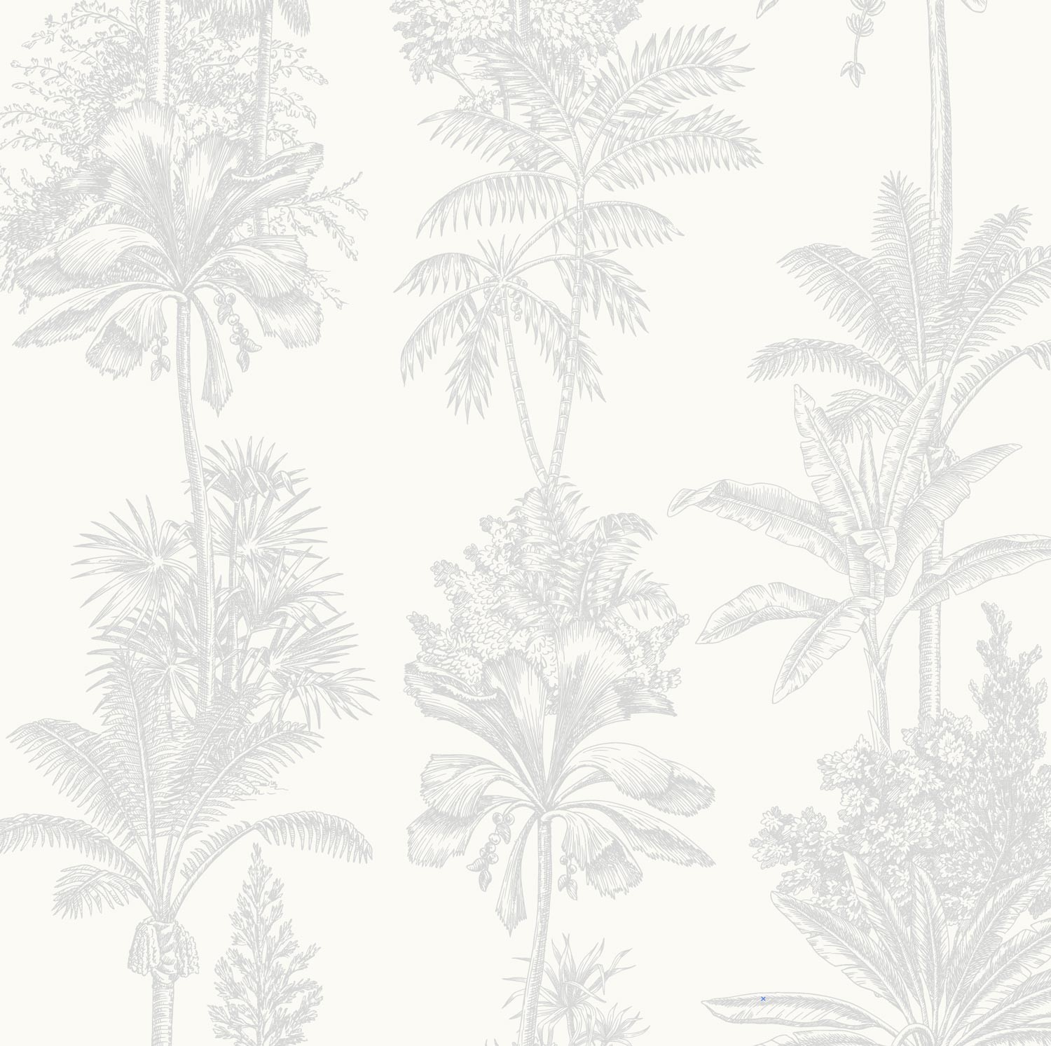 Tropical Hamptons - Light Grey Wallpaper | Grafico Melbourne