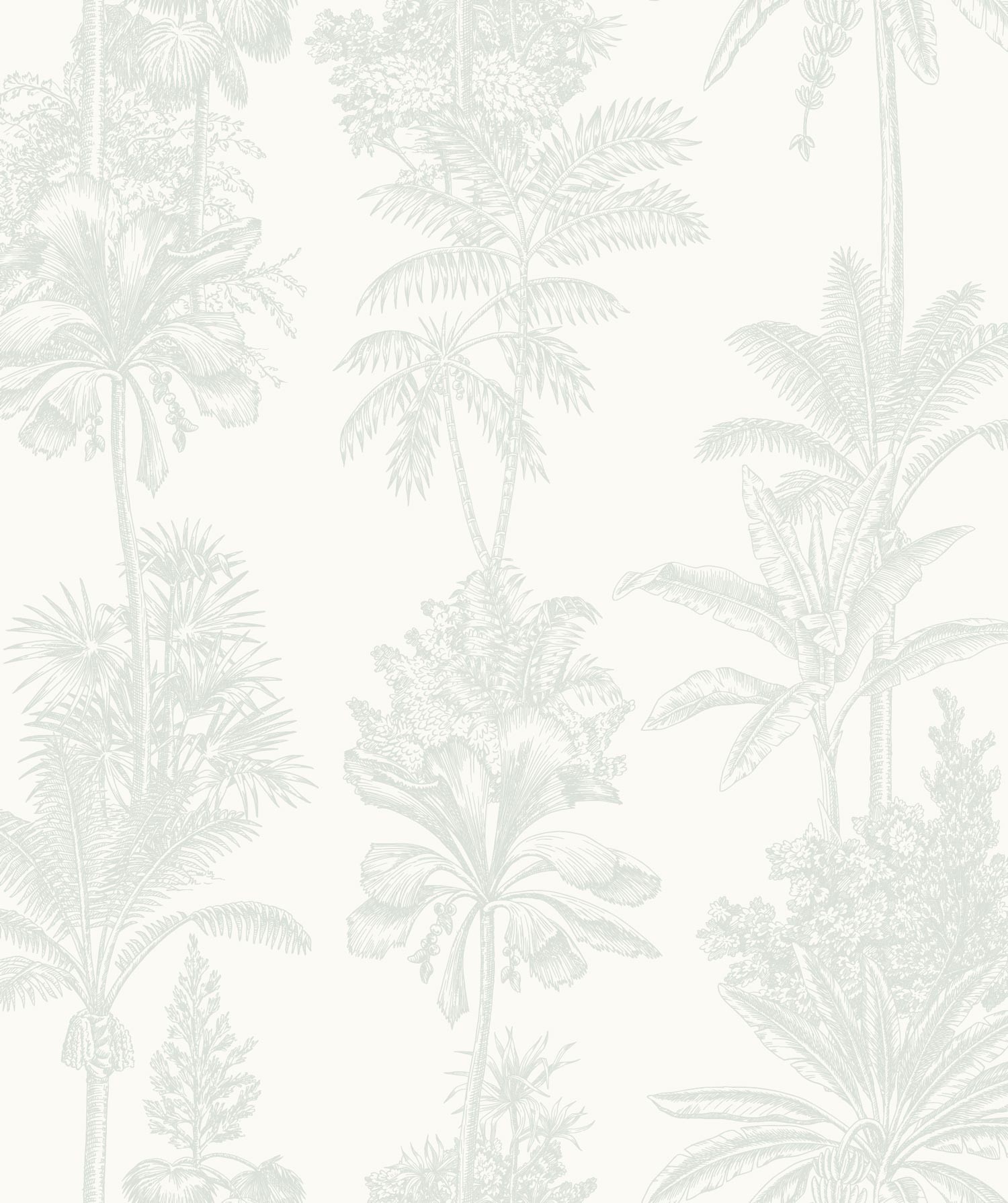 Tropical Hamptons - Sage Green Wallpaper | Grafico Melbourne