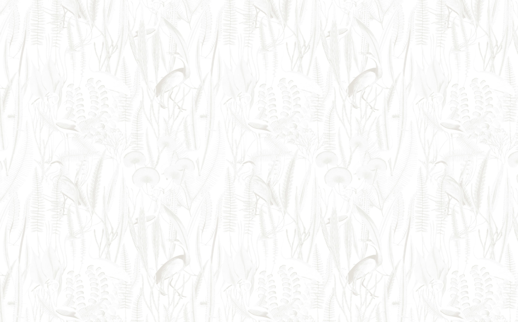 Tropical Reeds - Warm Grey Wallpaper | Grafico Melbourne