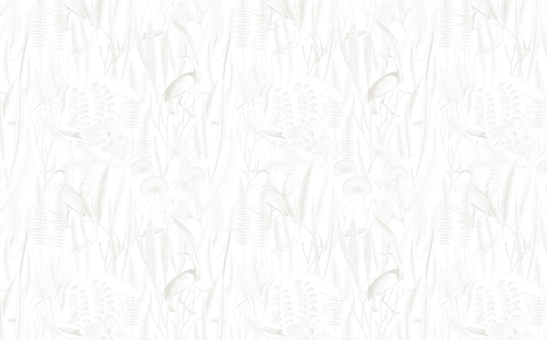 Tropical Reeds - Warm Grey Wallpaper | Grafico Melbourne