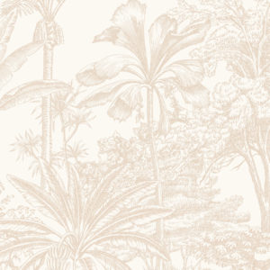 Tropicale - Coffee Wallpaper | Grafico Melbourne