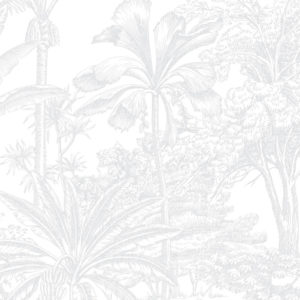 Tropicale - Light Grey Wallpaper | Grafico Melbourne