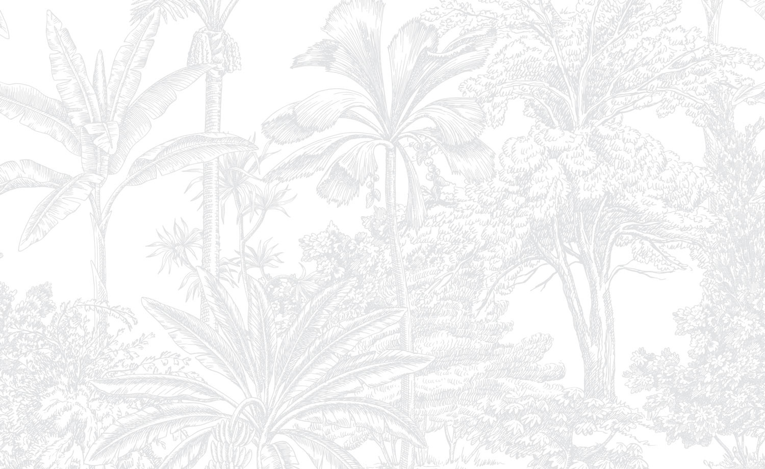 Tropicale - Light Grey Wallpaper | Grafico Melbourne