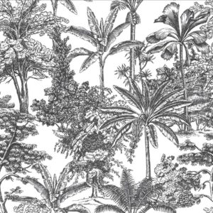 Tropicale - Charcoal Wallpaper | Grafico Melbourne