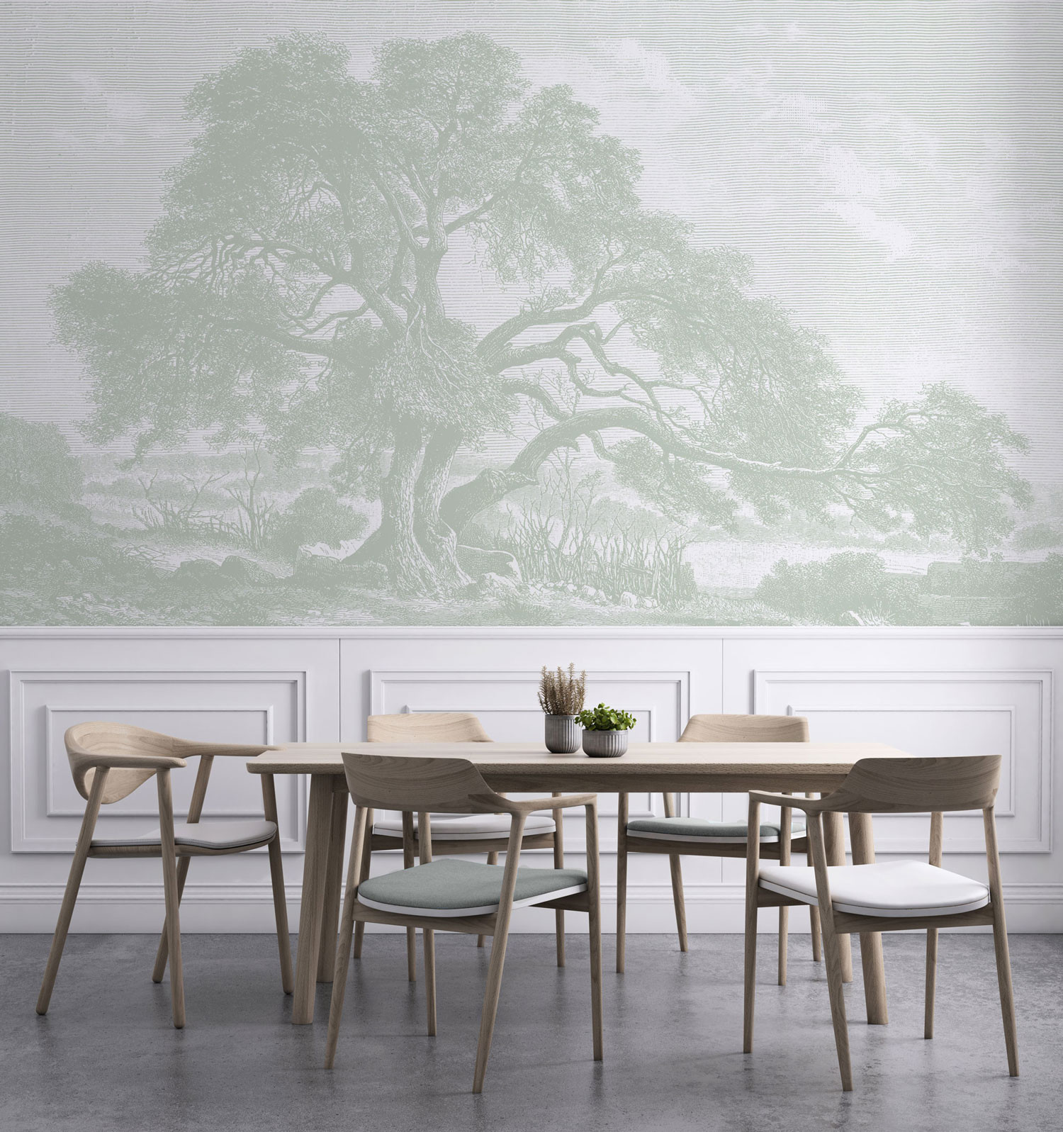 Twisting Oak - Sage Green Wallpaper | Grafico Melbourne