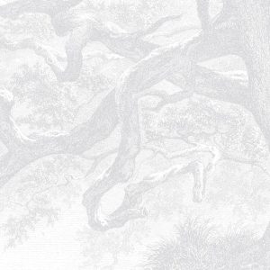 TwistedTrunk-02