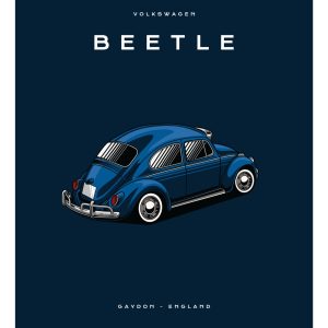 Volkswagen - Beetle - Blue