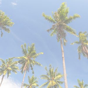 WelcomeToMiami-02