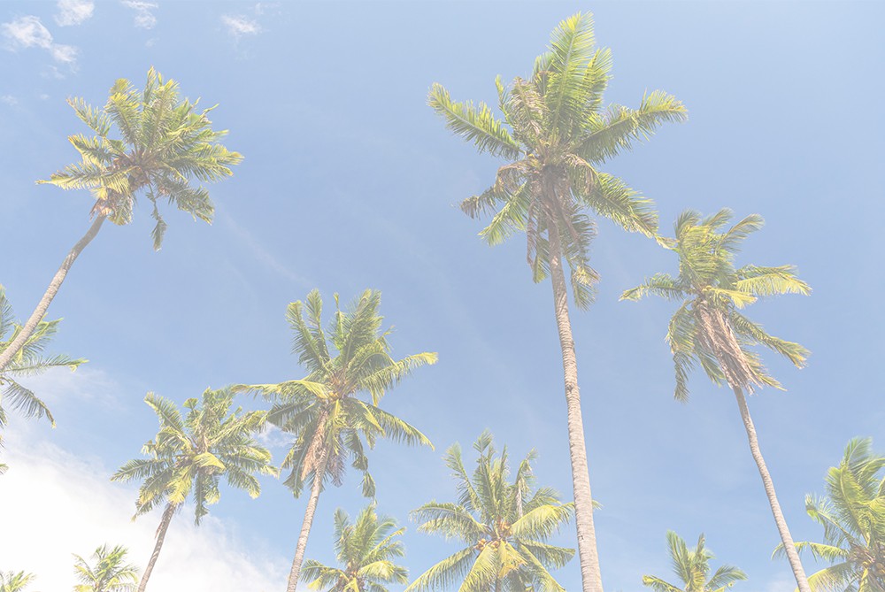 WelcomeToMiami-02