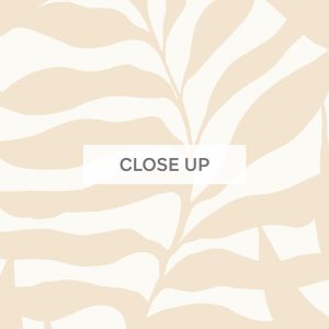 WonderingPalm-Natural-03
