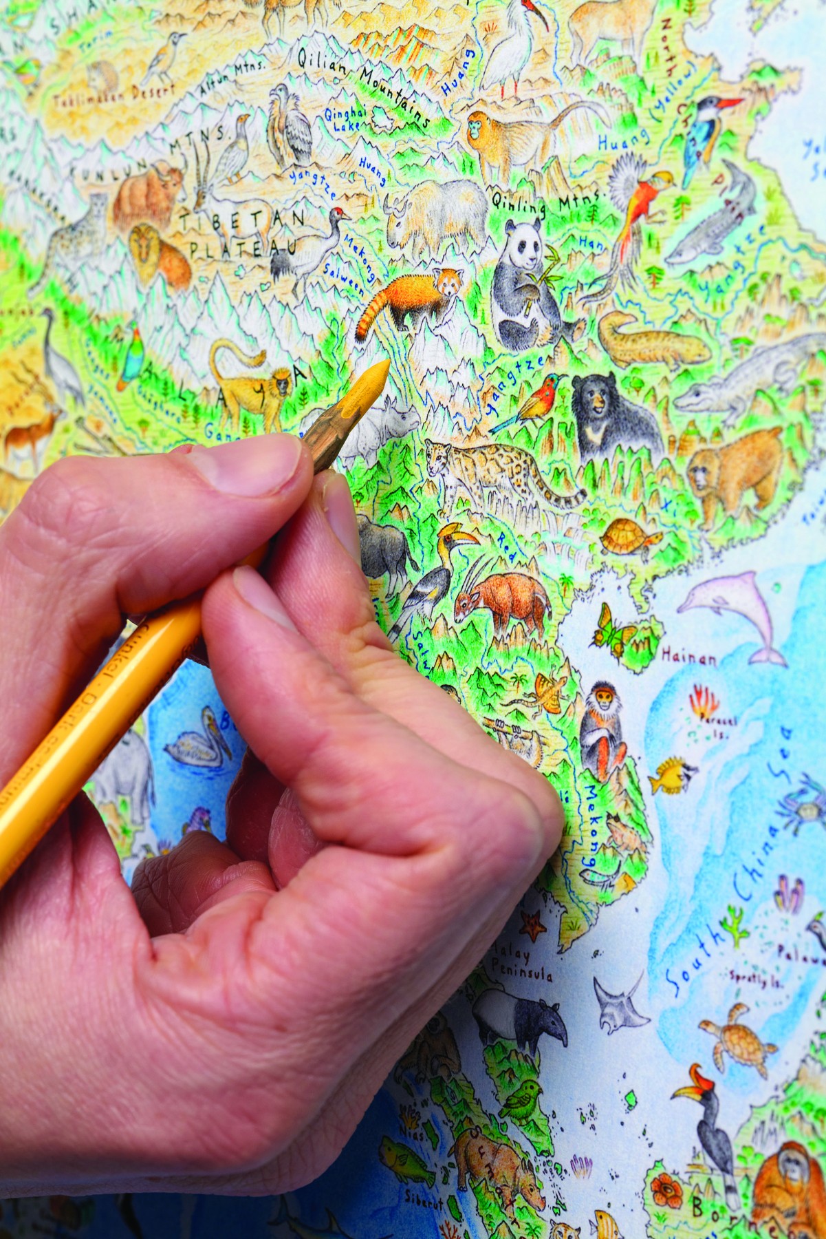 Wild World Map by Anton Thomas - Grafico Walls