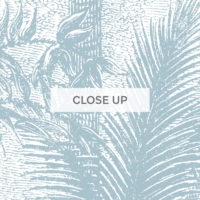 Animal Jungle Fiesta - Dusty Blue Wallpaper - Grafico Melbourne