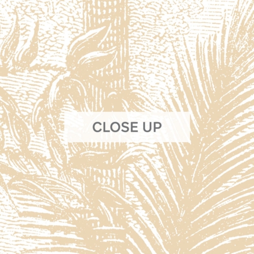 Animal Jungle Fiesta - Gold Wallpaper - Grafico Melbourne