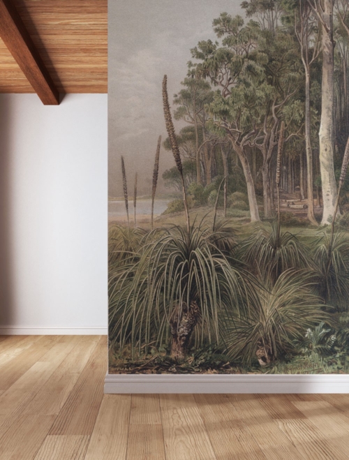 Australian Grass Trees Wallpaper - Grafico Melbourne