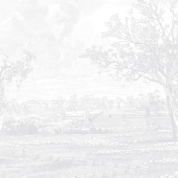 Australian Homestead - Light Grey Wallpaper - Grafico Melbourne