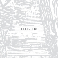 Australian Homestead - Light Grey Wallpaper - Grafico Melbourne