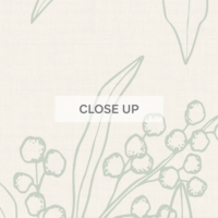 Australian Native Outline - Sage Green Wallpaper - Grafico Melbourne