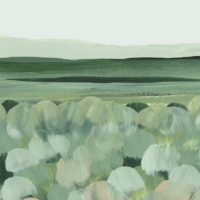 Brushstroke Meadow - Sage Wallpaper - Grafico Melbourne