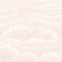 Etched Clouds - Blush Wallpaper - Grafico Melbourne