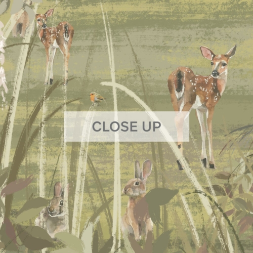 Forest Mural - With Animals Wallpaper - Grafico Melbourne