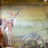 Forest Mural - With Animals Wallpaper - Grafico Melbourne