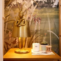 Forest Mural - With Animals Wallpaper - Grafico Melbourne