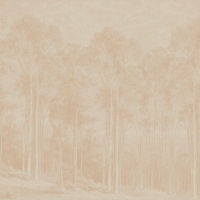 Giant Eucalypt - Natural Wallpaper - Grafico Melbourne