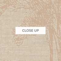 Giant Eucalypt - Natural Wallpaper - Grafico Melbourne