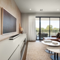 Giant Eucalypt - Natural Wallpaper - Grafico Melbourne