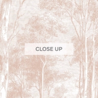 Giant Eucalypt - Terracotta Wallpaper - Grafico Melbourne
