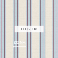 Hampton Stripe - Sky Blue & Burgundy Wallpaper - Grafico Melbourne