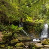 Horse Shoe Falls Wallpaper - Grafico Melbourne