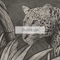 Jungle Fresco - Charcoal Wallpaper - Grafico Melbourne