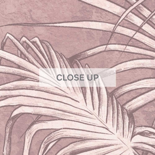 Jungle Fresco - Dusty Pink Wallpaper - Grafico Melbourne