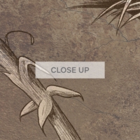 Jungle Fresco - Earthy Tones Wallpaper - Grafico Melbourne