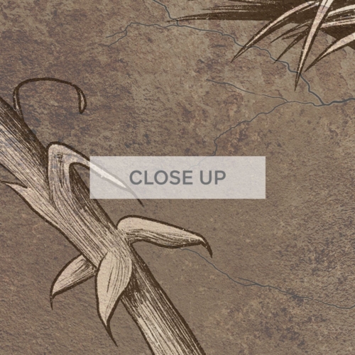 Jungle Fresco - Earthy Tones Wallpaper - Grafico Melbourne