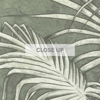 Jungle Fresco - Green Wallpaper - Grafico Melbourne