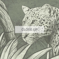 Jungle Fresco - Green Wallpaper - Grafico Melbourne