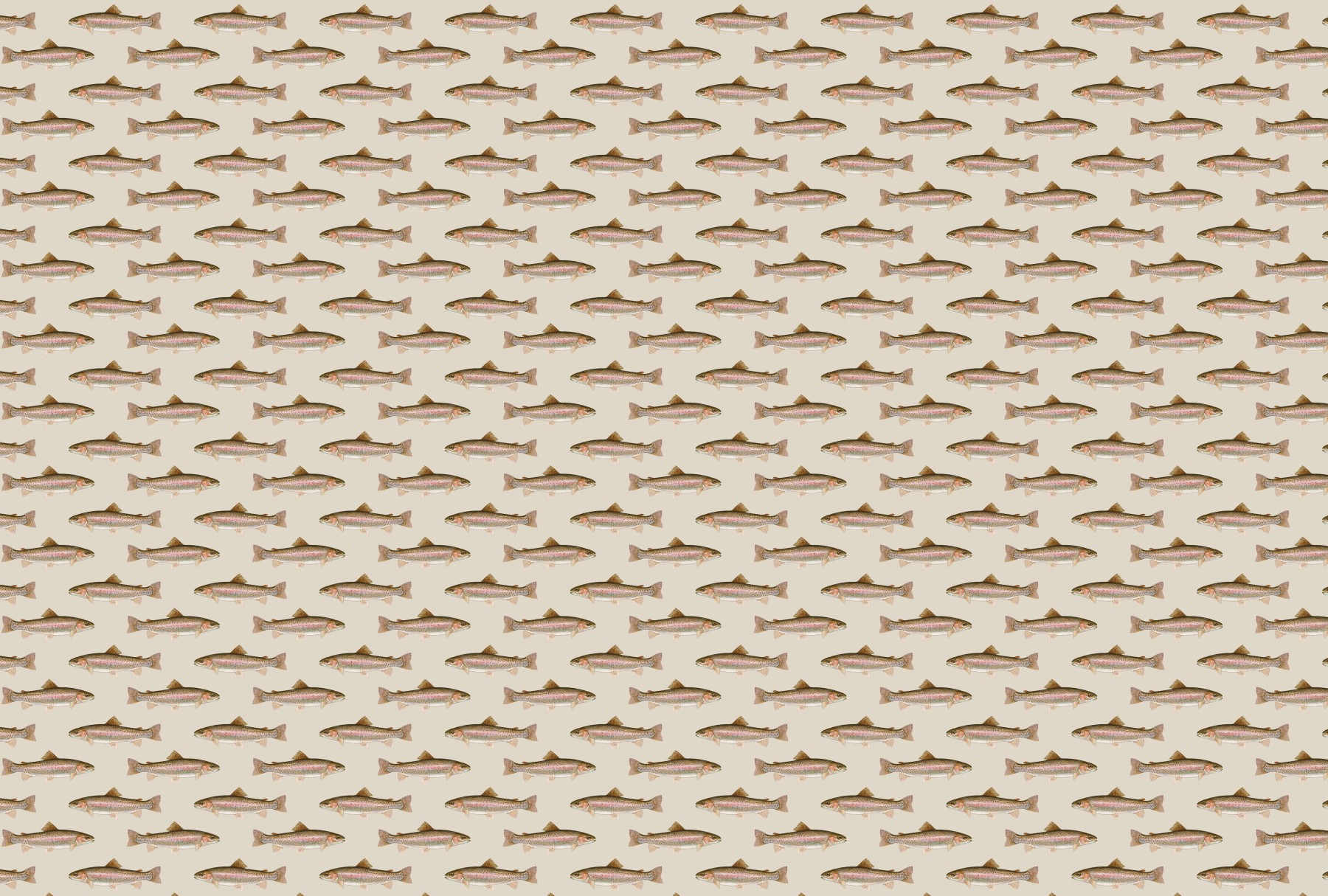 No Trout About It - Wallpaper - Grafico Melbourne