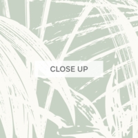 Noosa Palms - Sage Green Wallpaper - Grafico Melbourne