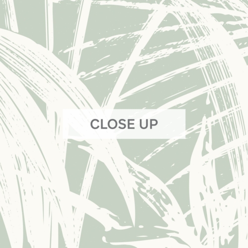 Noosa Palms - Sage Green Wallpaper - Grafico Melbourne