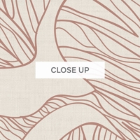Ostreatus - Clay Wallpaper - Grafico Melbourne