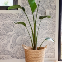 Ostreatus - Navy Blue Wallpaper - Grafico Melbourne
